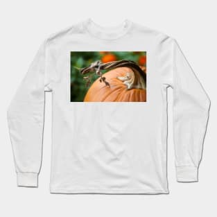 Orange and Green Long Sleeve T-Shirt